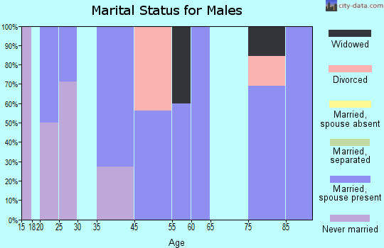 Mentor marital status for males