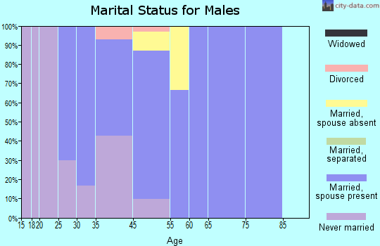 Minnesota City marital status for males