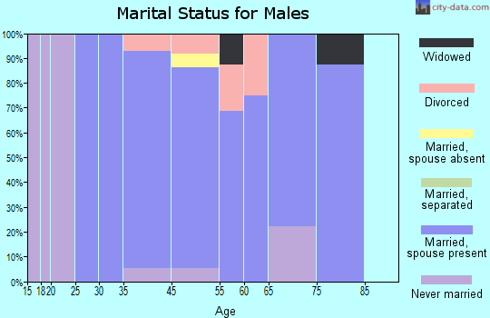 Minnetonka Beach marital status for males