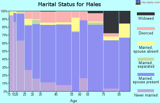 Bentonville marital status for males