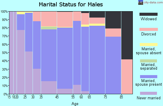 Mounds View marital status for males