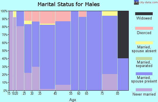 Mountain Lake marital status for males
