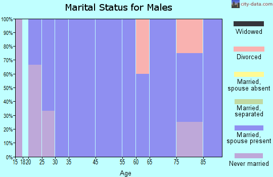 Nerstrand marital status for males