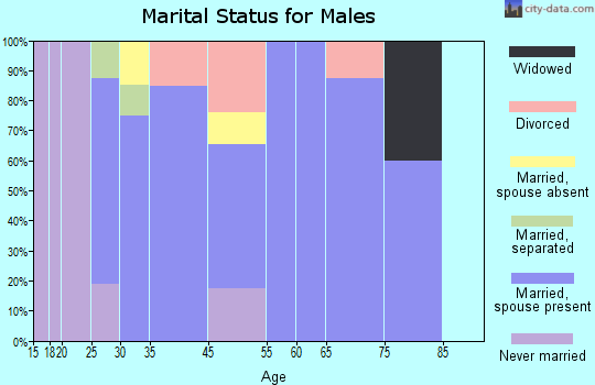 New Auburn marital status for males