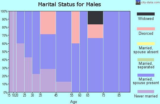 New Germany marital status for males