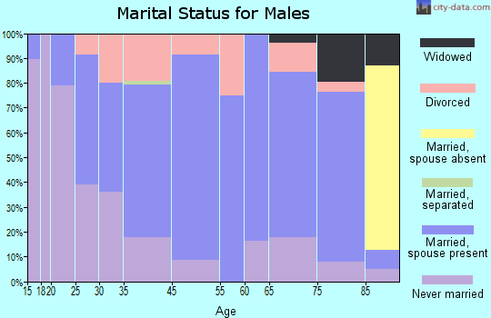 New York Mills marital status for males