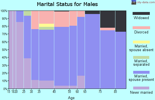 Nisswa marital status for males
