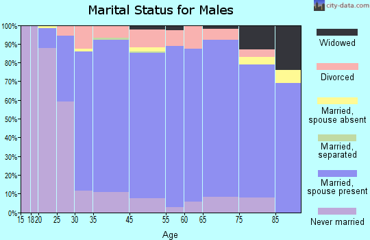 North Mankato marital status for males