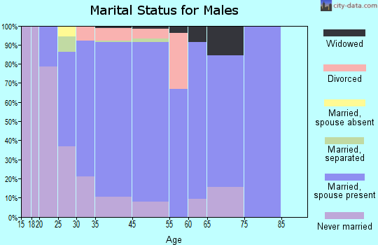 Otsego marital status for males