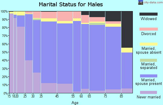 Owatonna marital status for males