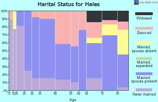 Park Rapids marital status for males