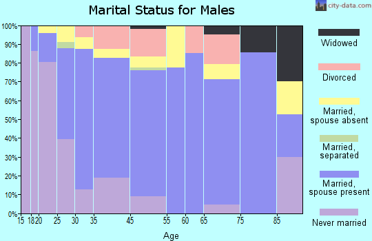 Pelican Rapids marital status for males