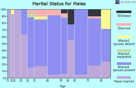 Pierz marital status for males