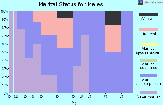 Pillager marital status for males