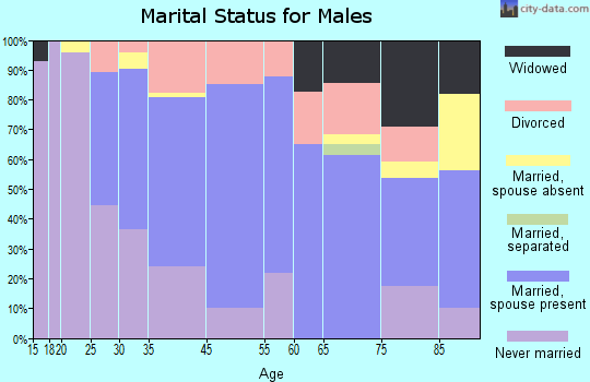 Pine City marital status for males