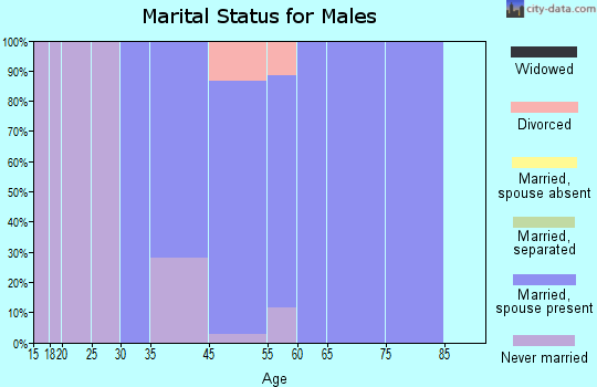 Pine Springs marital status for males