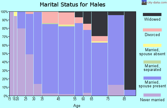 Plainview marital status for males