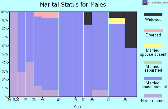 Prinsburg marital status for males