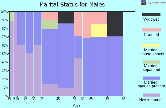 Remer marital status for males