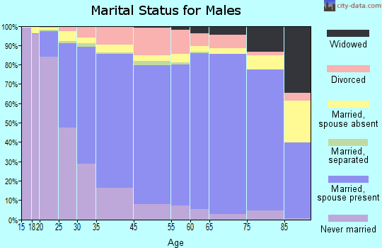 Rochester marital status for males