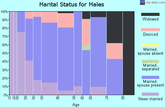 Rock Creek marital status for males