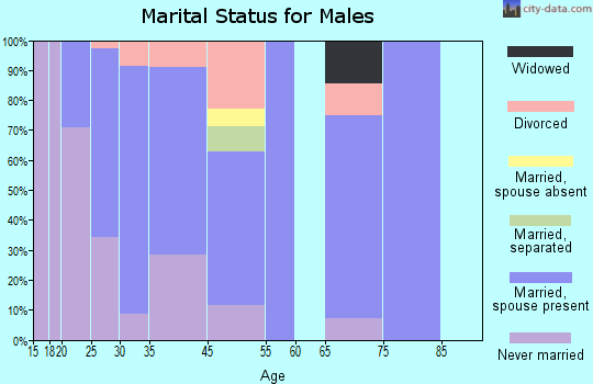 Rockville marital status for males