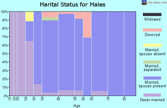 Rushford Village marital status for males