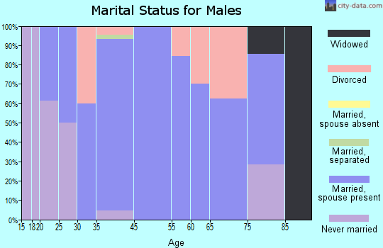 Rushmore marital status for males