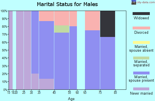St. Marys Point marital status for males