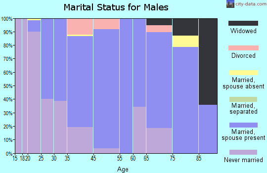 Sauk Centre marital status for males