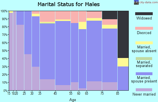Sauk Rapids marital status for males
