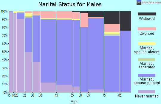 Shoreview marital status for males
