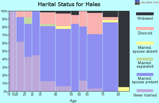 Silver Bay marital status for males
