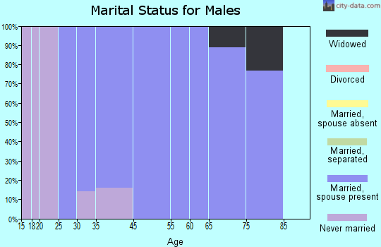 Skyline marital status for males