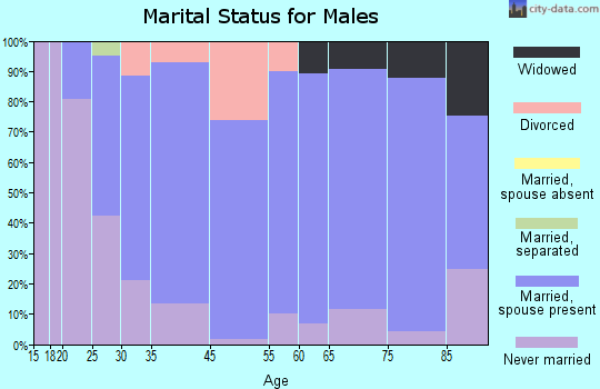 Sleepy Eye marital status for males