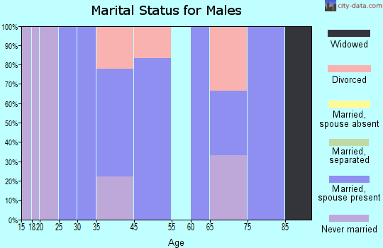 South Haven marital status for males