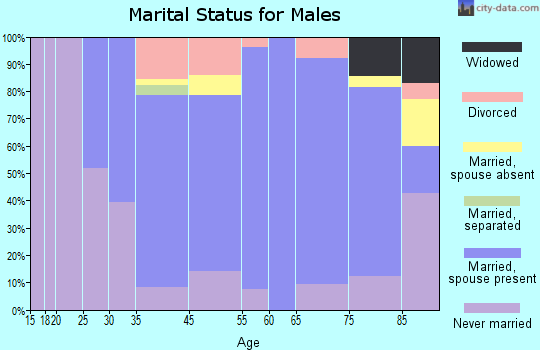 Spring Grove marital status for males