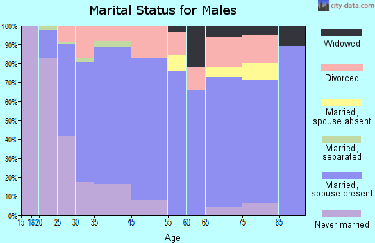 Spring Valley marital status for males