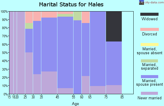 Stephen marital status for males