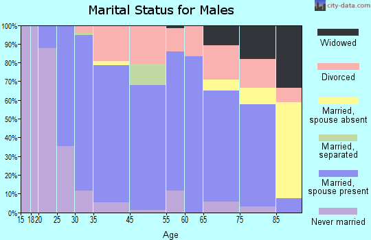 Stewartville marital status for males
