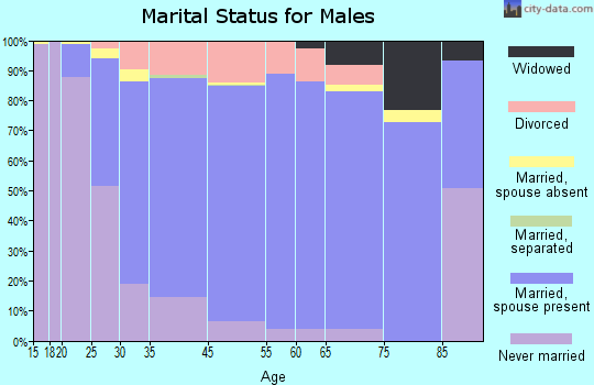 Stillwater marital status for males