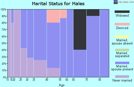 Swanville marital status for males