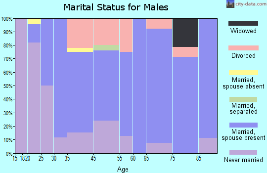 Taylors Falls marital status for males