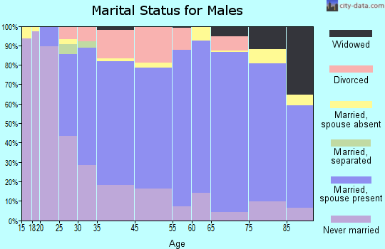 Thief River Falls marital status for males