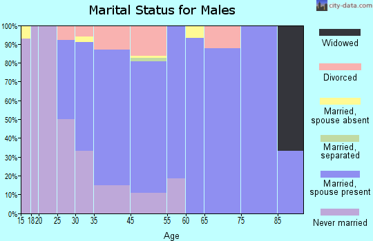 Tonka Bay marital status for males