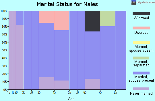 Vernon Center marital status for males