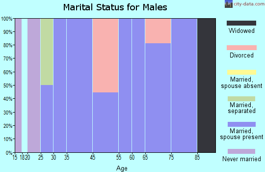 Detroit marital status for males