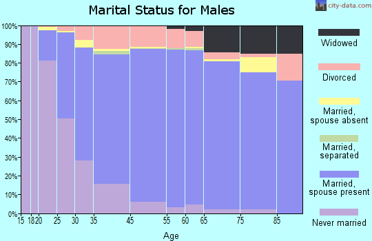White Bear Lake marital status for males