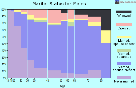 Willmar marital status for males