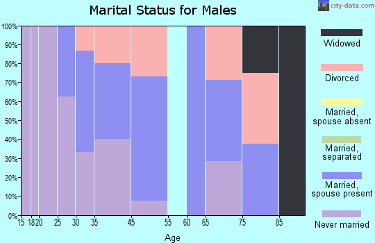 Willow River marital status for males